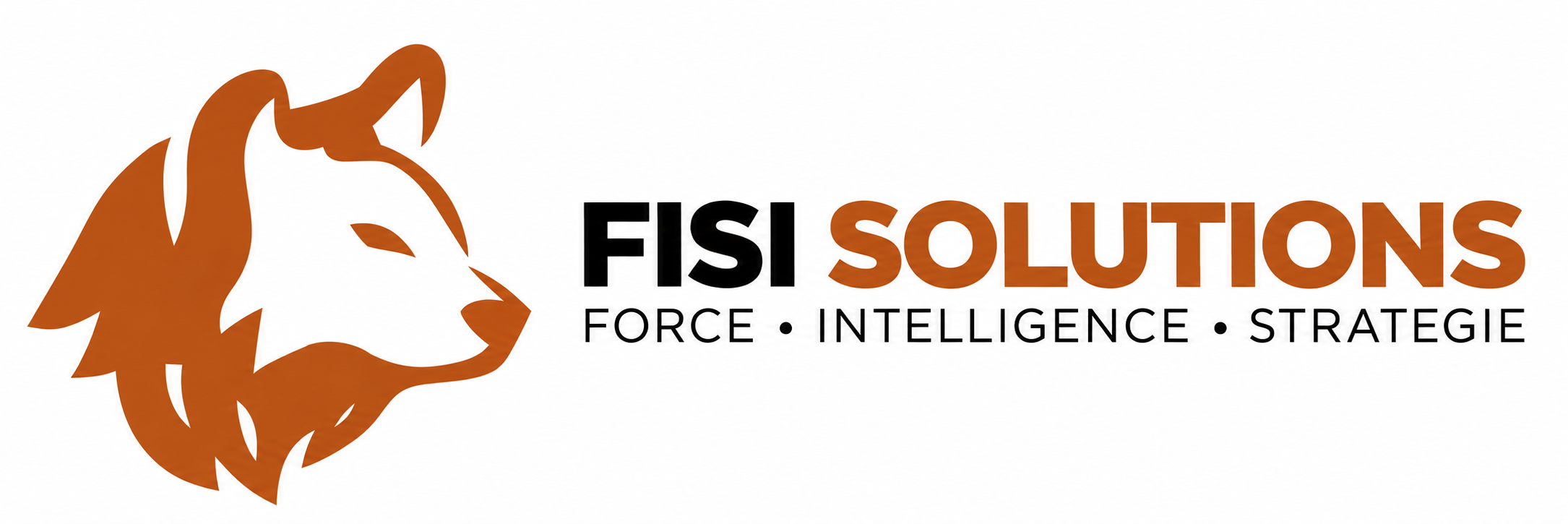 FISI Solutions — Force, Intelligence, Stratégie